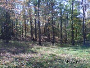 11230 Hebron Road St. Marys, WV 26170 - Photo 7 of 10