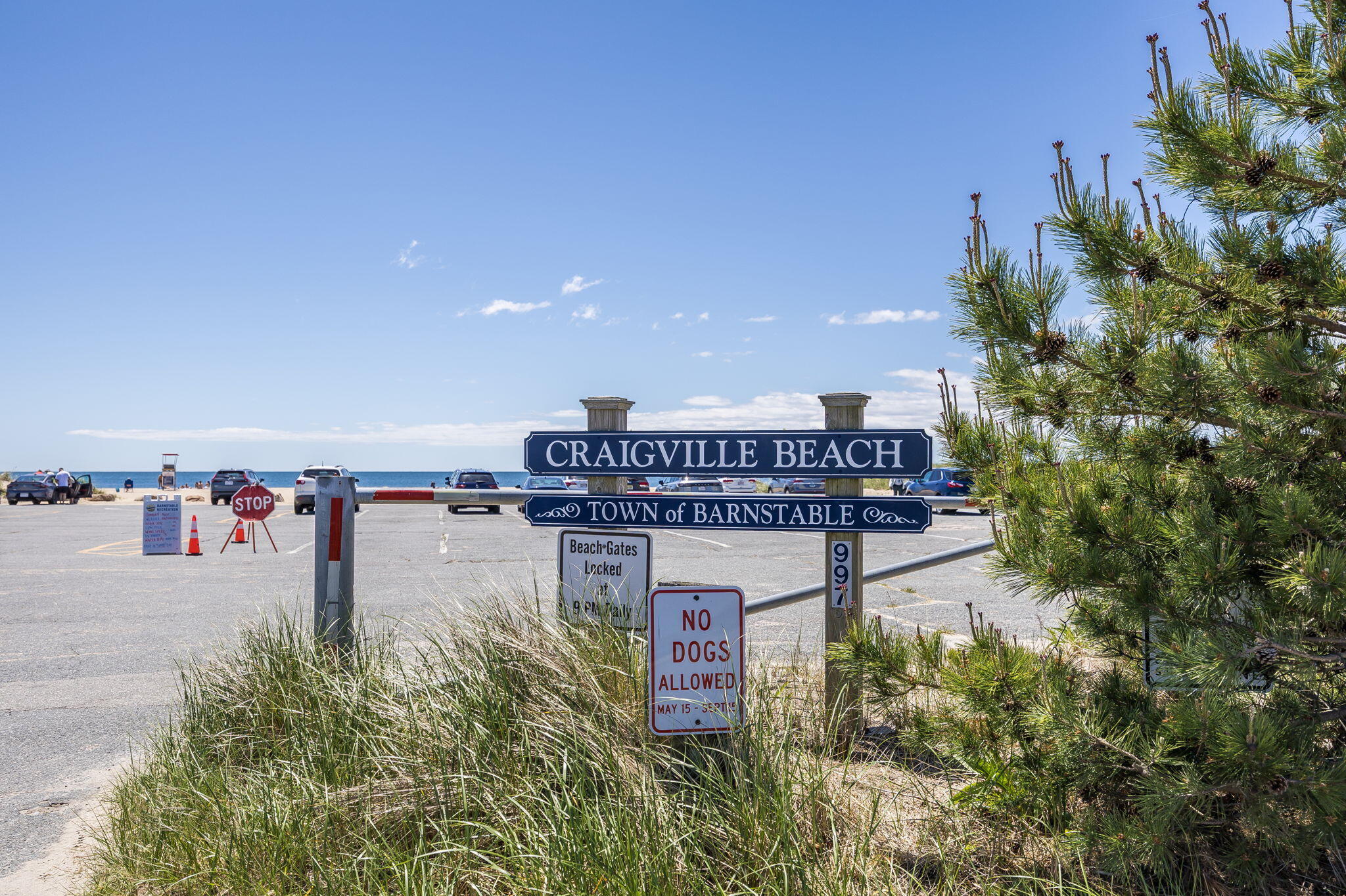 493 Prince Hinckley Road Centerville, MA 02632 - Photo 51 of 53 103-PF0A9144