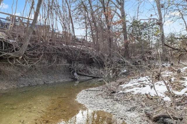 a view of a yard with trees