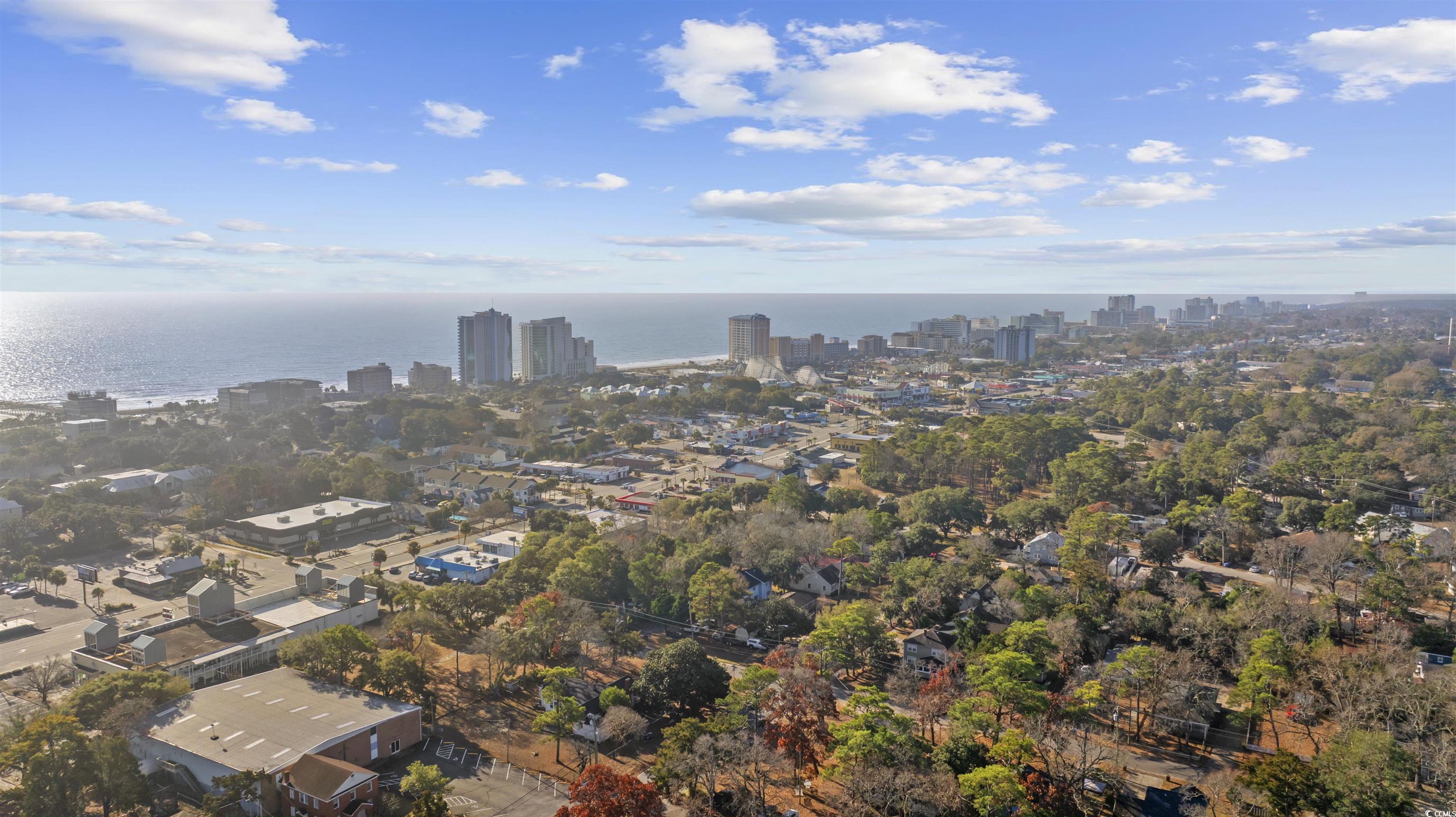 509 3rd Avenue North Myrtle Beach, SC 29577 - Photo 6 of 15