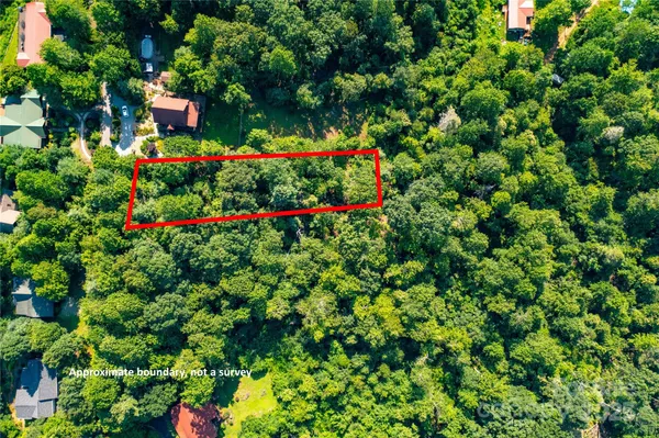 a view of a flower in a garden with a flower garden