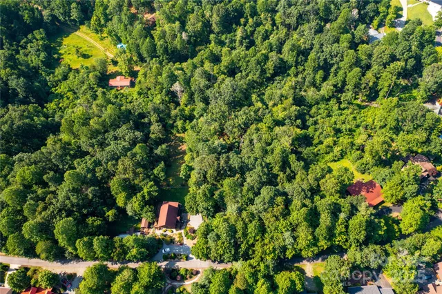 a view of a lush green forest with lots of trees