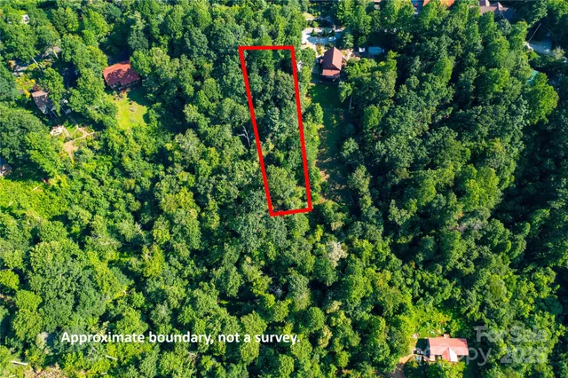 a view of a garden with plants