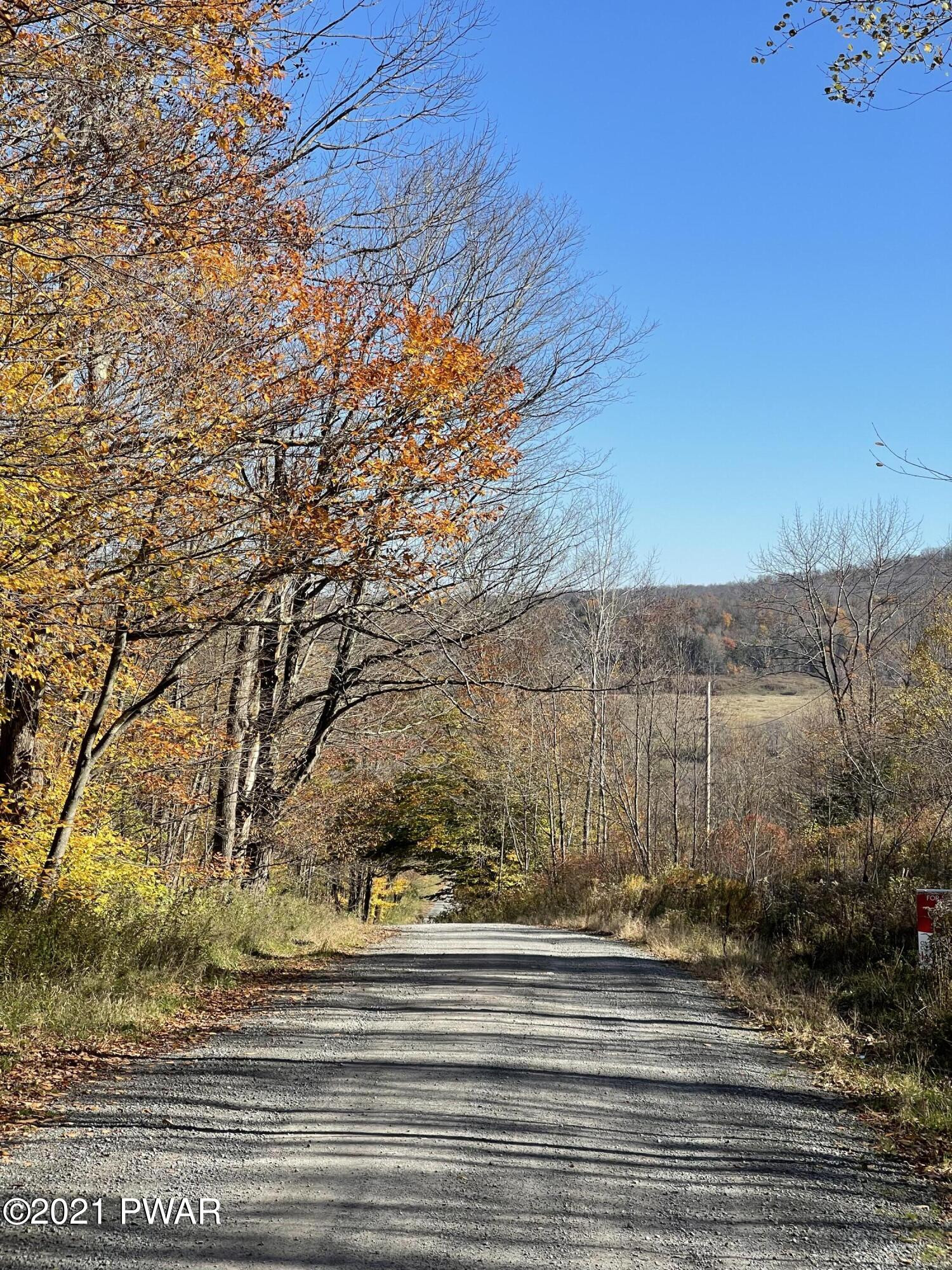 5-acres Welk Road Equinunk, PA 18417 - Photo 2 of 4