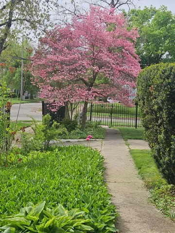 $370,000 | 1000 West Washington Avenue, Jackson, MI 49203