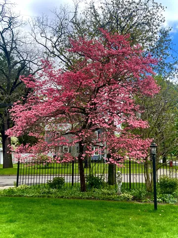 $370,000 | 1000 West Washington Avenue, Jackson, MI 49203