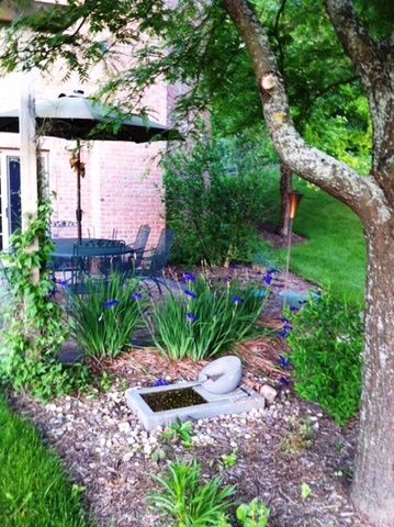 37W571 Grey Barn Road St. Charles, IL 60175 - Photo 31 of 31 a view of a garden with a flower in a garden
