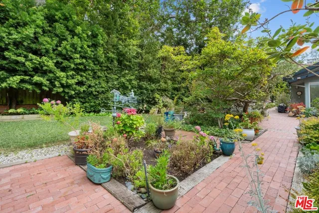 a view of a garden with potted plants