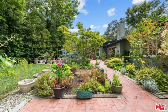 a bunch of flowers are in a garden