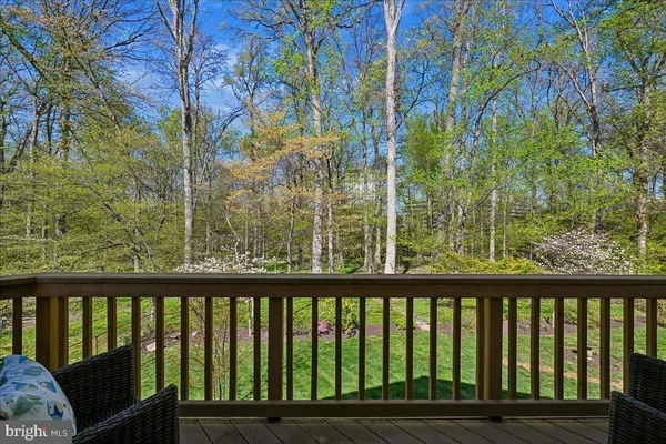 a view of a park with large trees