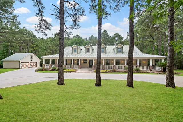 a view of a park with plants and trees