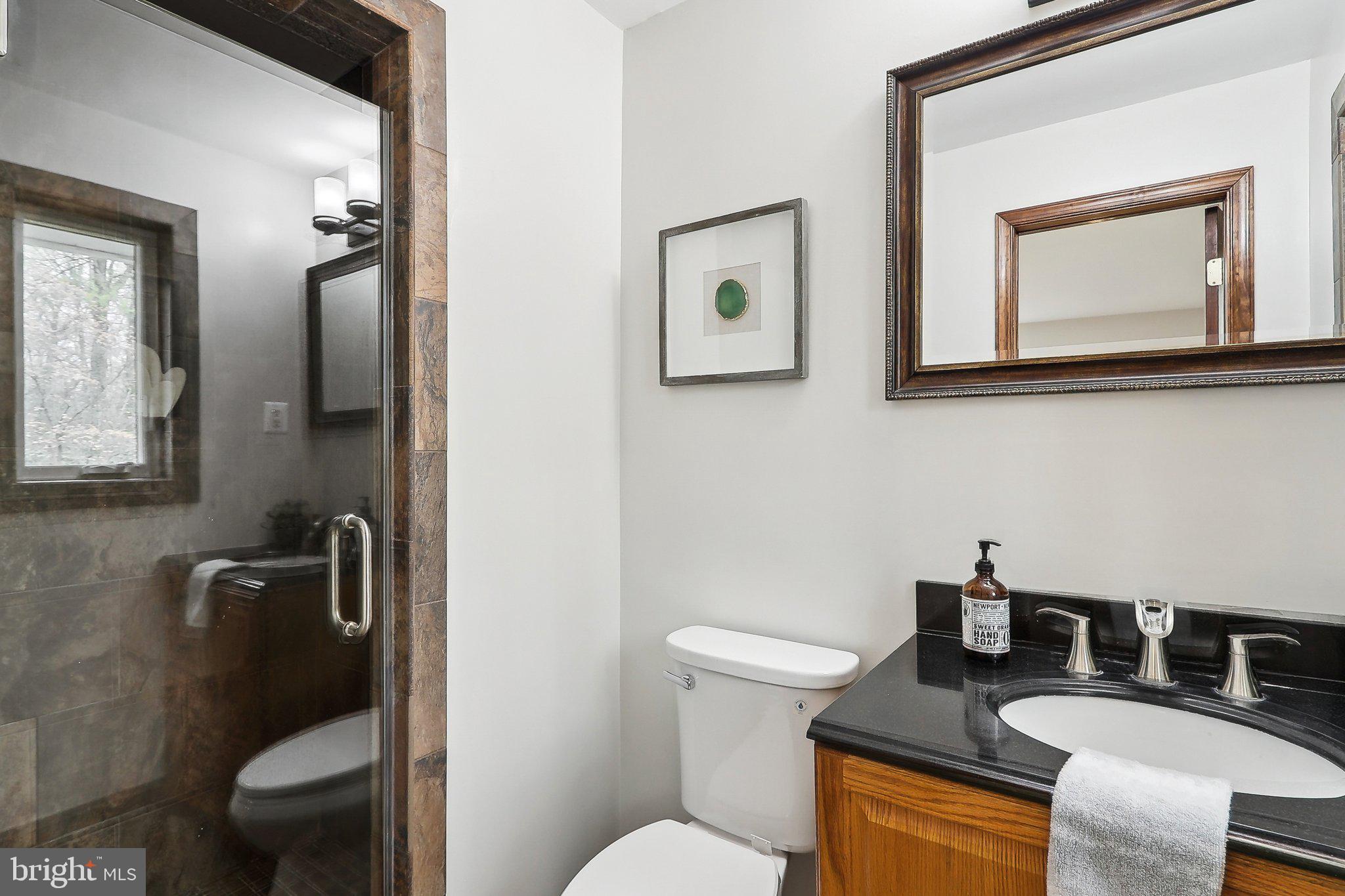 4212 Wakefield Drive Annandale, VA 22003 - Photo 39 of 67 walk in shower