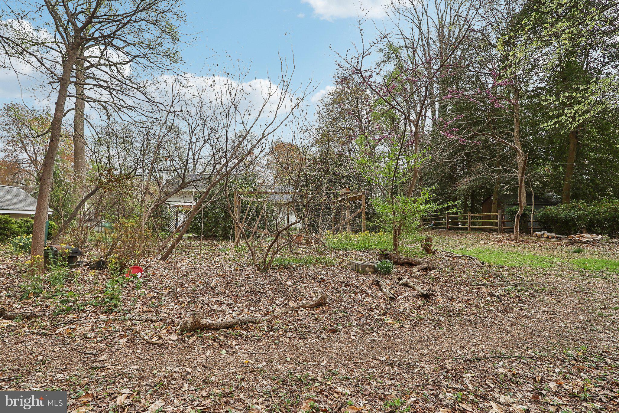 4212 Wakefield Drive Annandale, VA 22003 - Photo 59 of 67 a backyard of a house with lots of green space