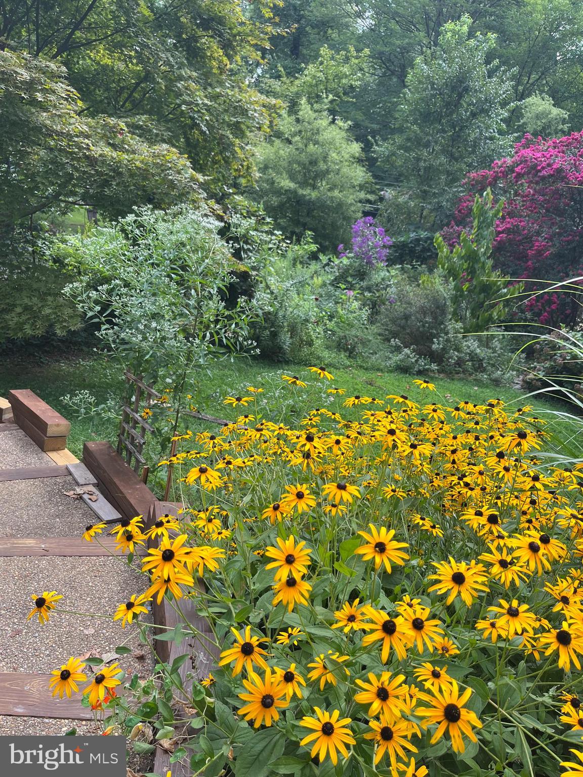 4212 Wakefield Drive Annandale, VA 22003 - Photo 63 of 67 Mature trees
