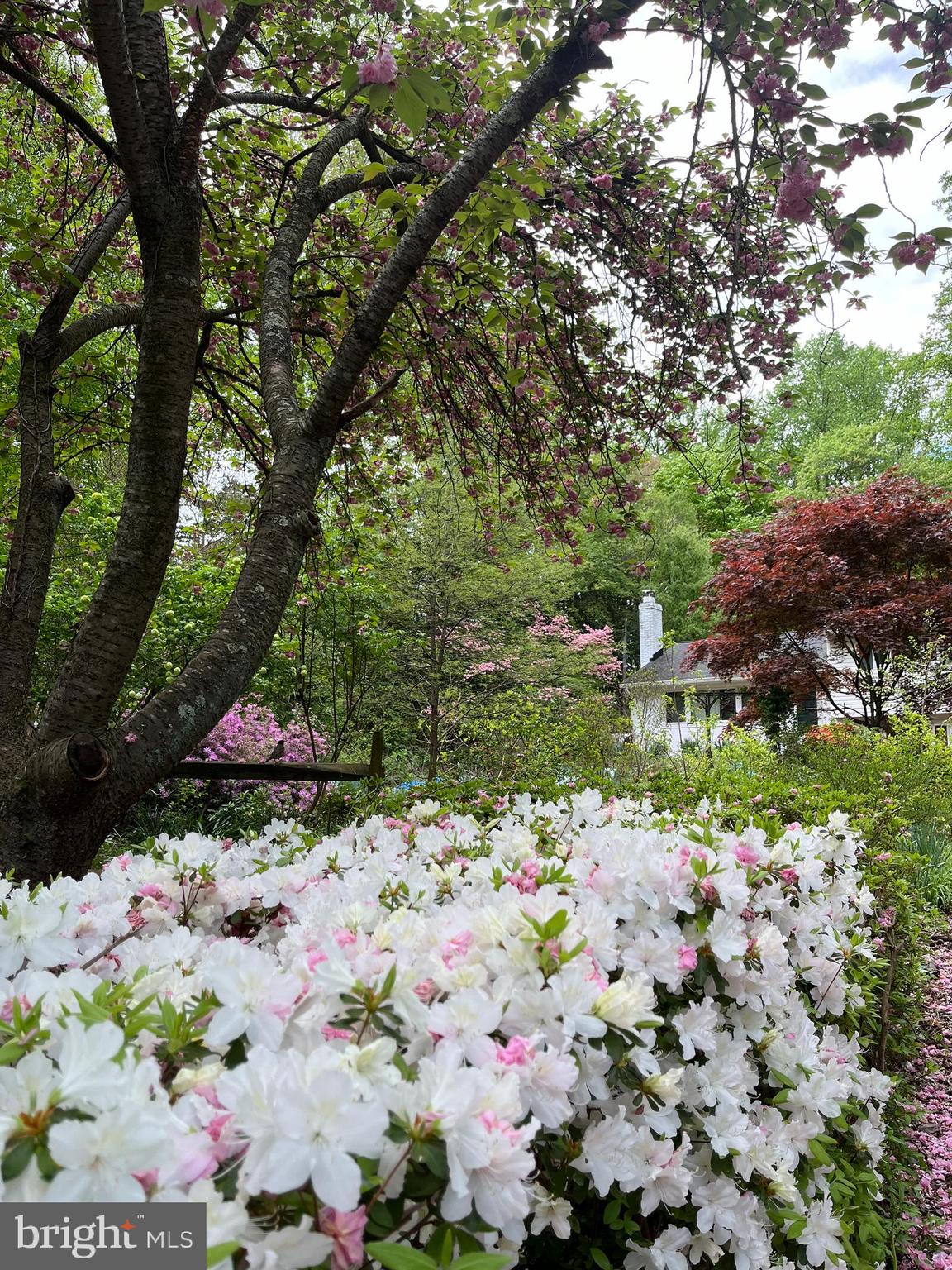 4212 Wakefield Drive Annandale, VA 22003 - Photo 64 of 67