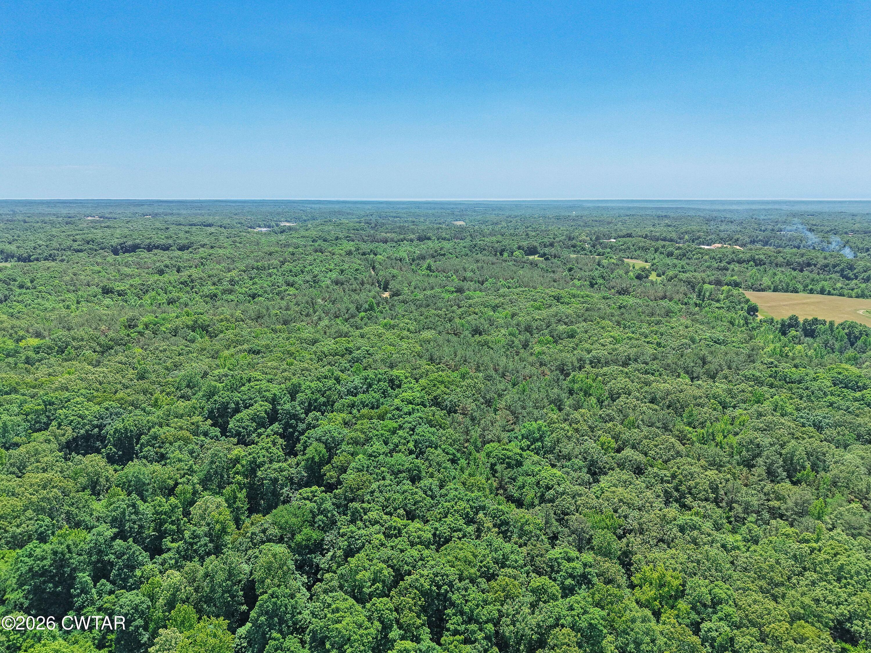 0 Teague Road Toone, TN 38381 - Photo 7 of 25 DJI_20260513125258_0157_D