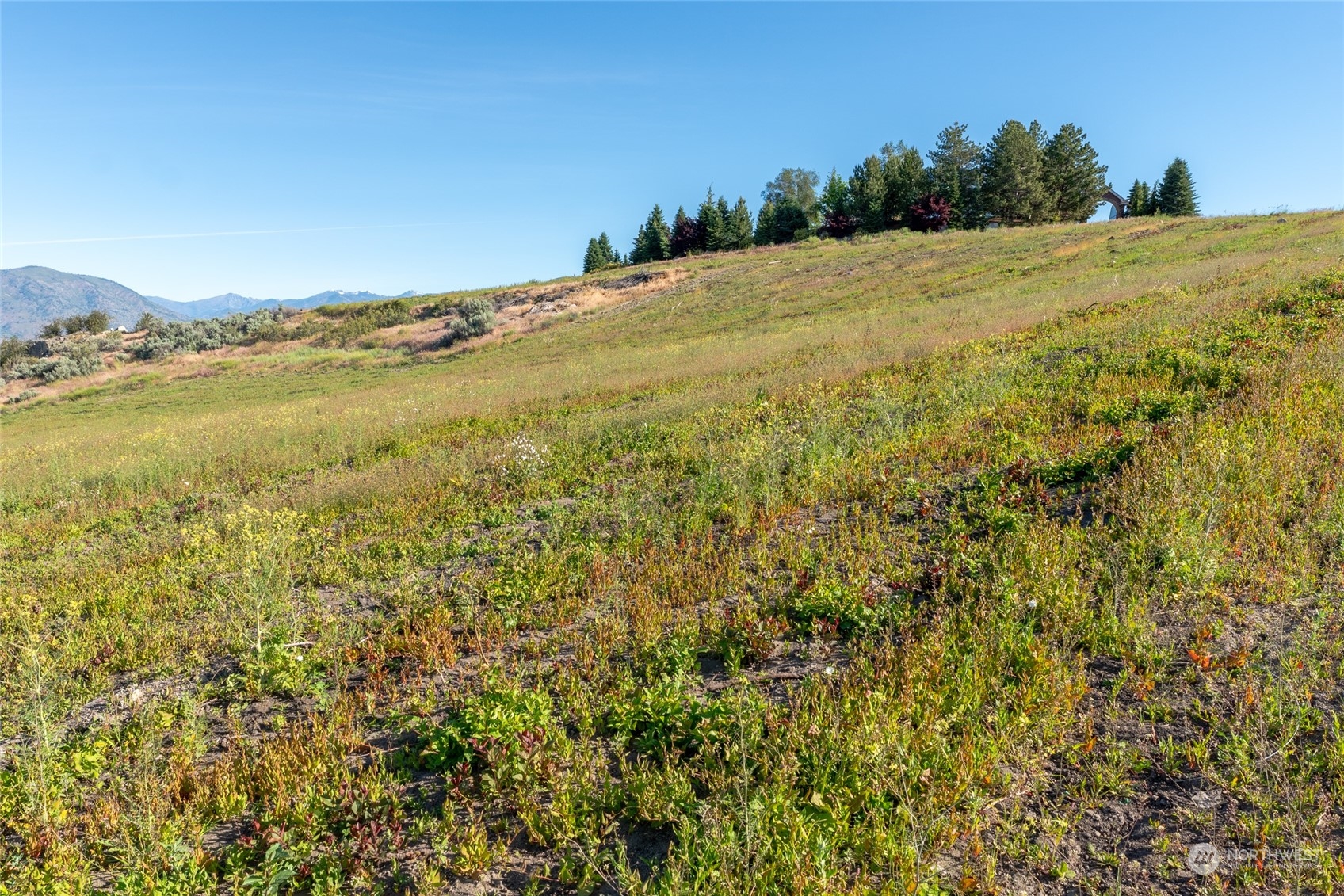 0 Maikai Road Manson, WA 98831 - Photo 18 of 20 Gallery Image 18