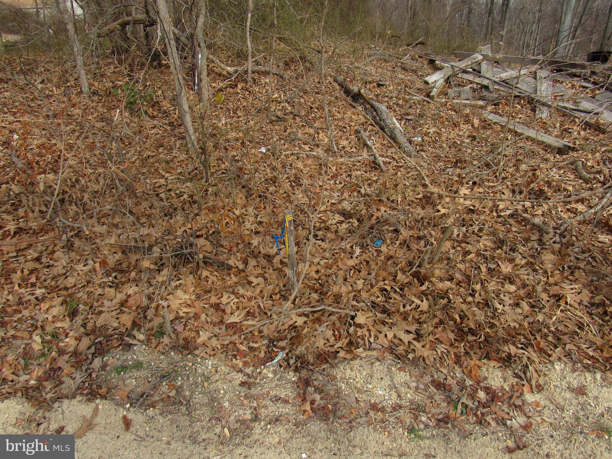 9500 Croom Road Upper Marlboro, MD 20772 - Photo 15 of 28