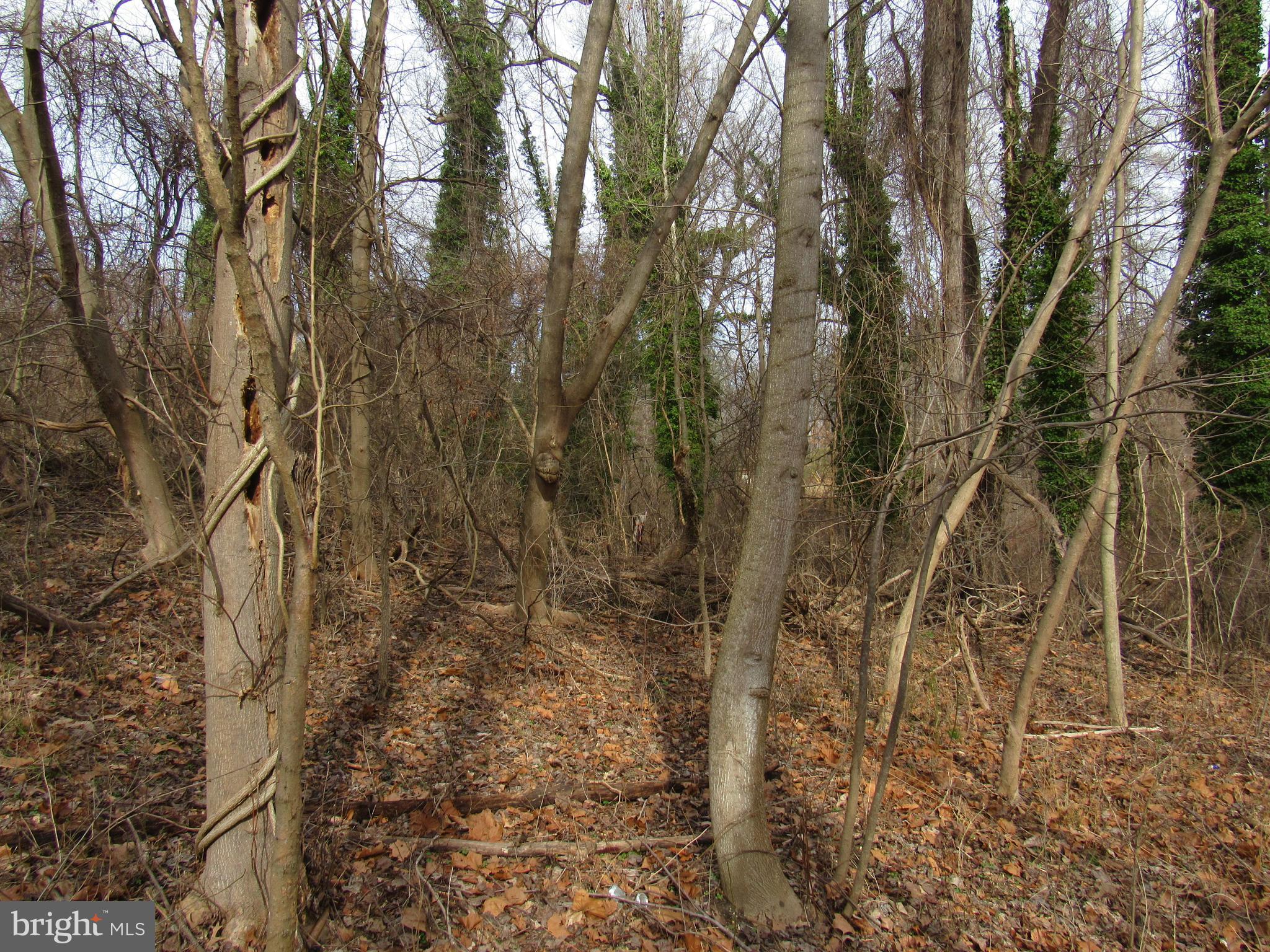 9500 Croom Road Upper Marlboro, MD 20772 - Photo 21 of 28