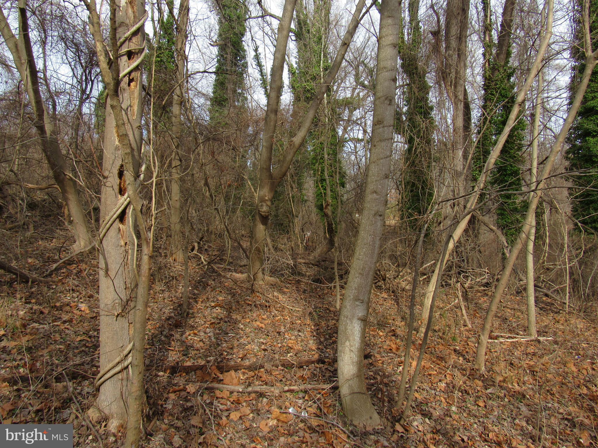 9500 Croom Road Upper Marlboro, MD 20772 - Photo 22 of 28