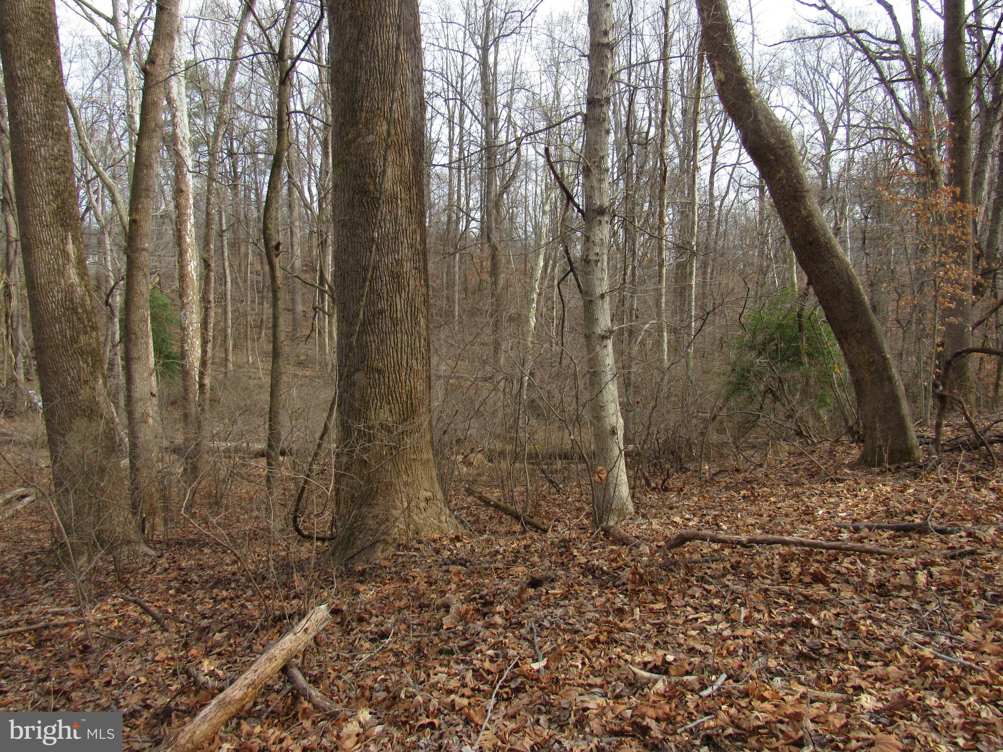 9500 Croom Road Upper Marlboro, MD 20772 - Photo 23 of 28