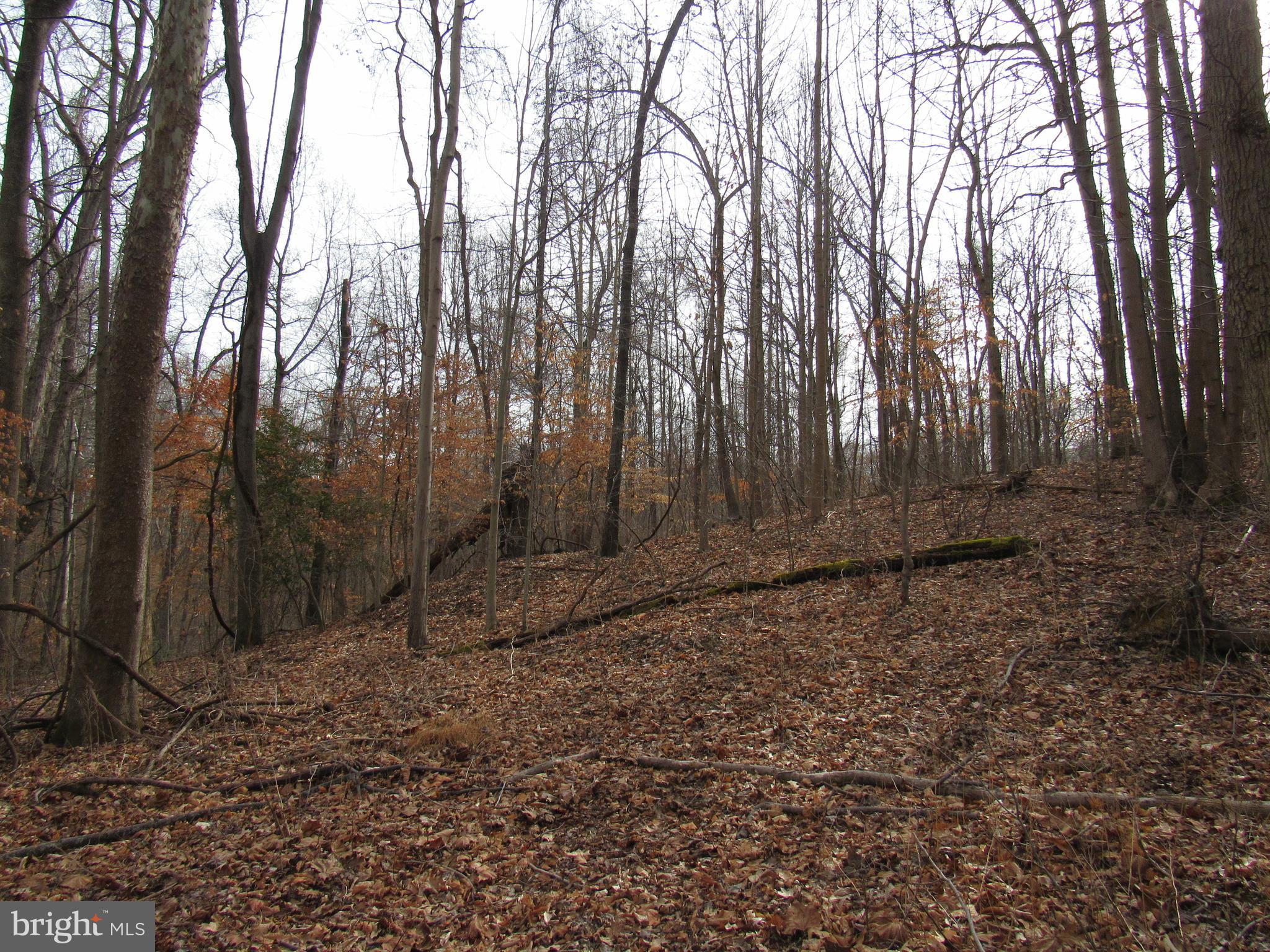 9500 Croom Road Upper Marlboro, MD 20772 - Photo 24 of 28