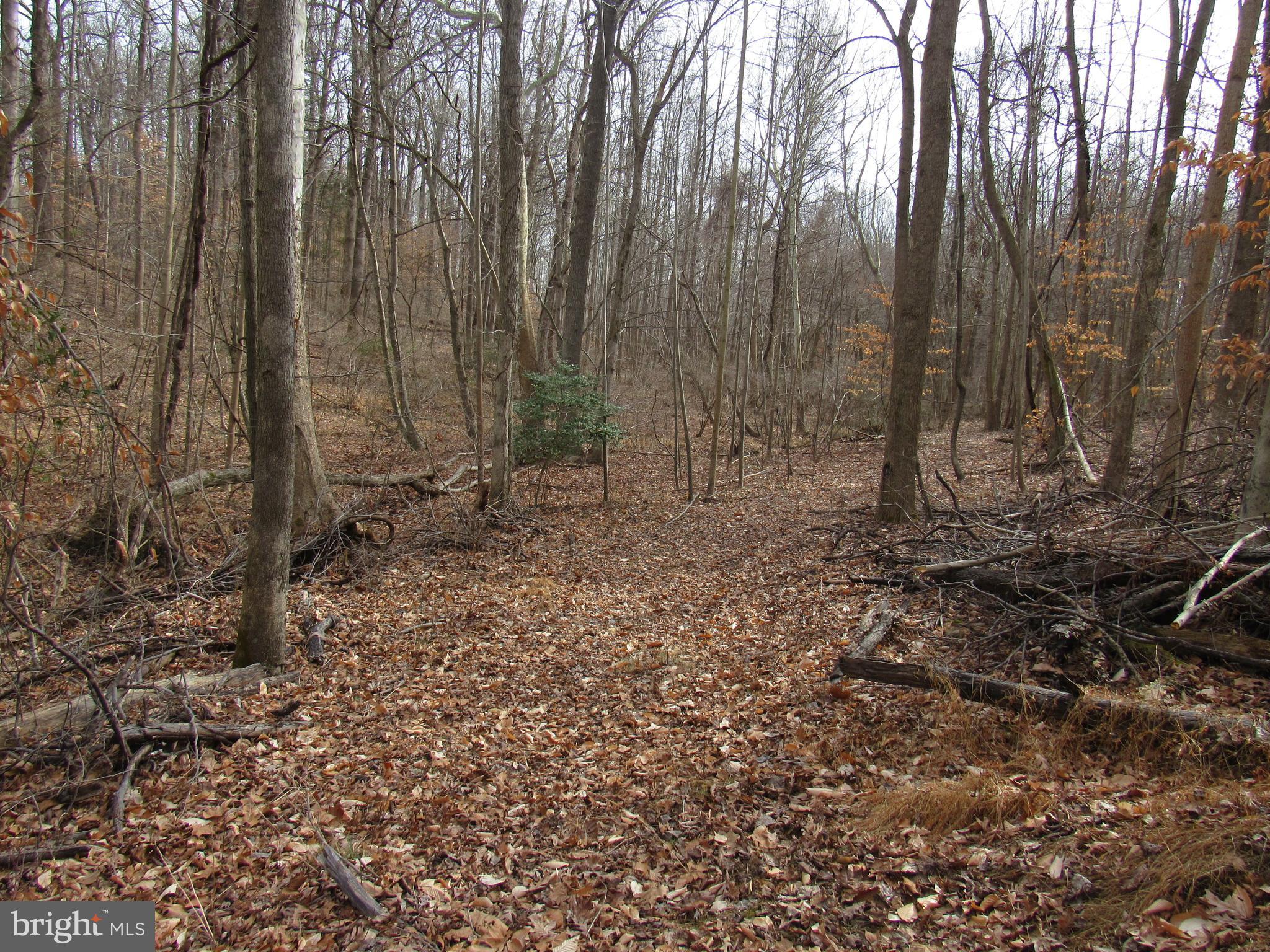 9500 Croom Road Upper Marlboro, MD 20772 - Photo 25 of 28