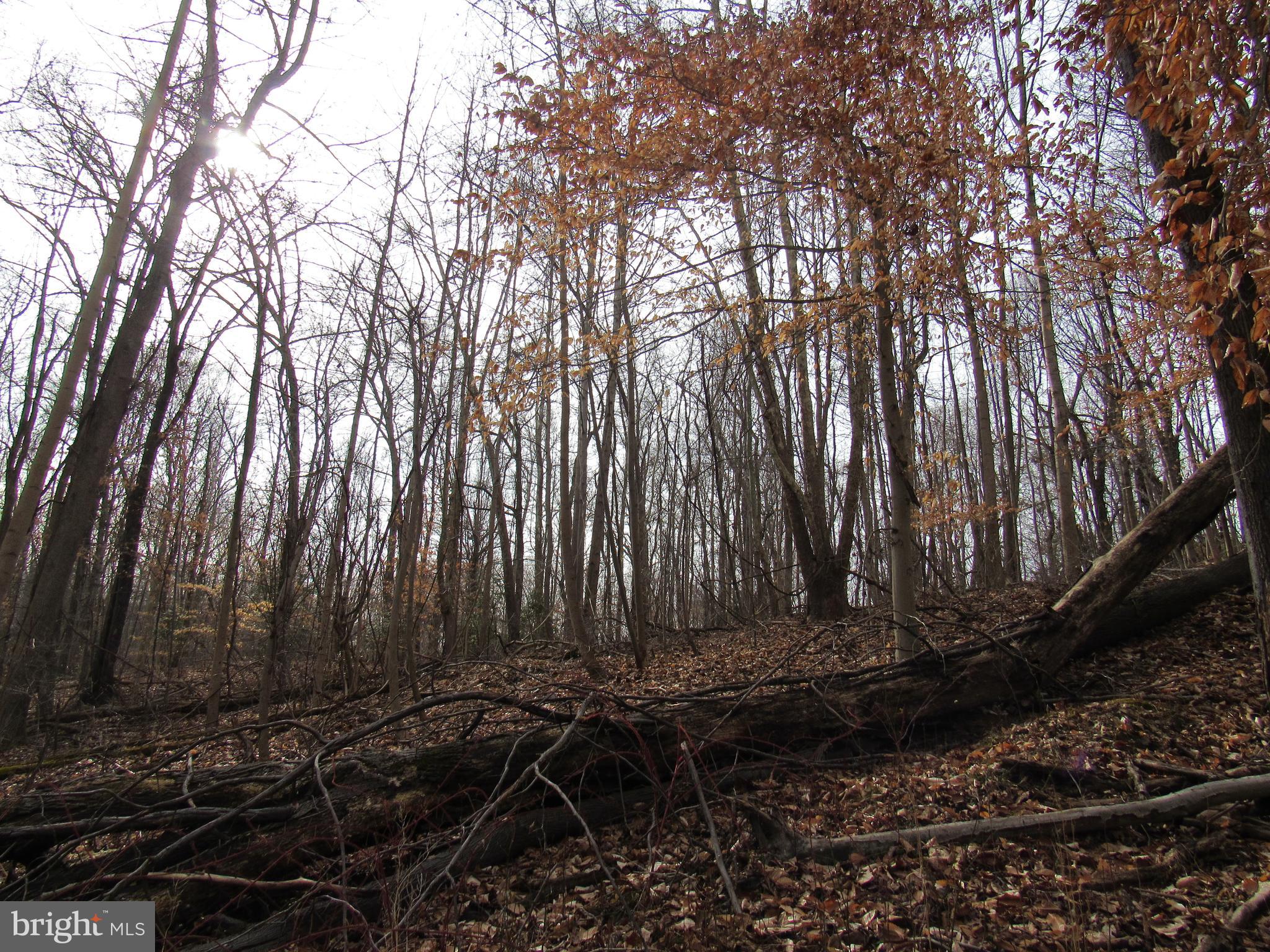 9500 Croom Road Upper Marlboro, MD 20772 - Photo 26 of 28