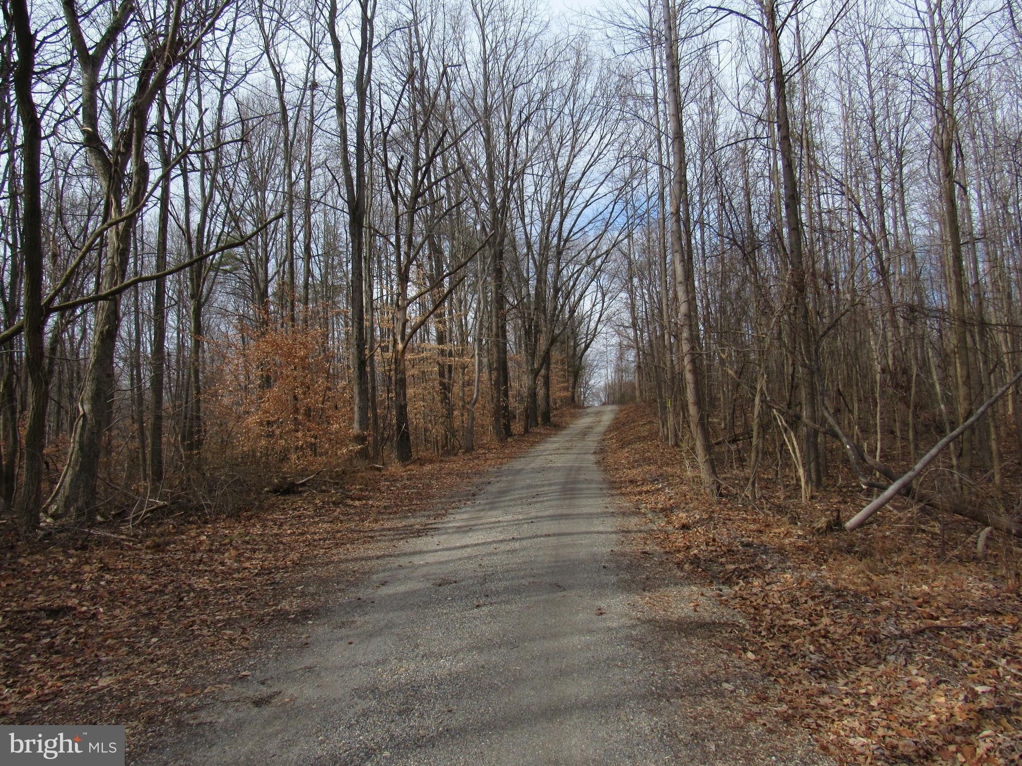 9500 Croom Road Upper Marlboro, MD 20772 - Photo 27 of 28