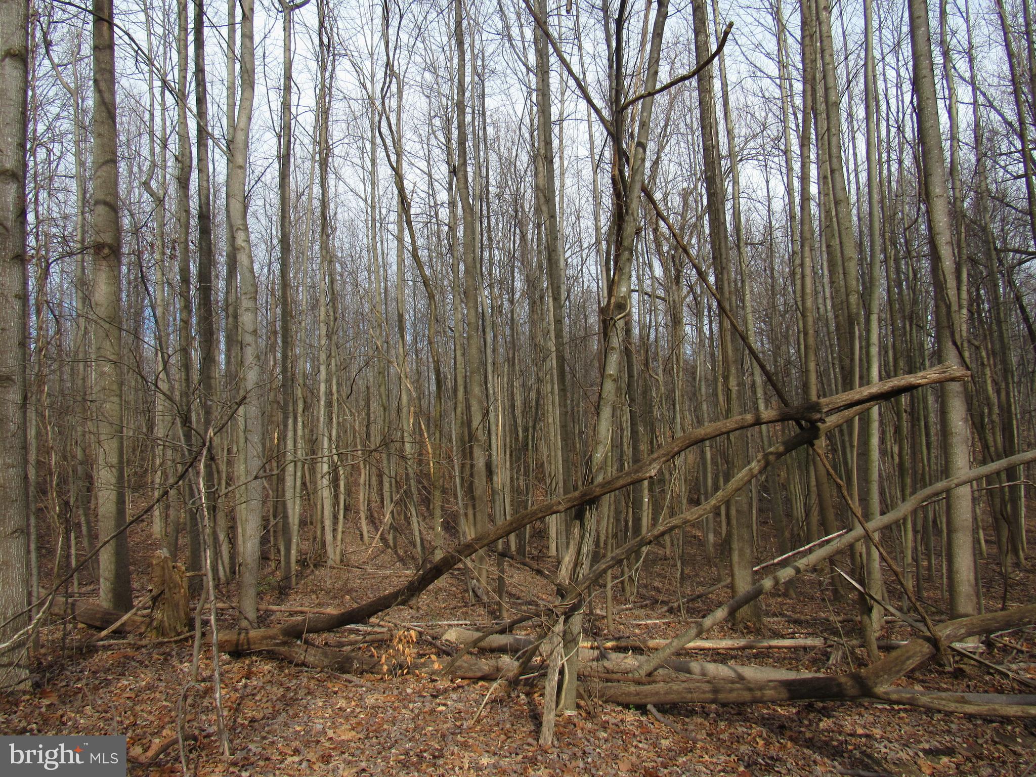 9500 Croom Road Upper Marlboro, MD 20772 - Photo 28 of 28