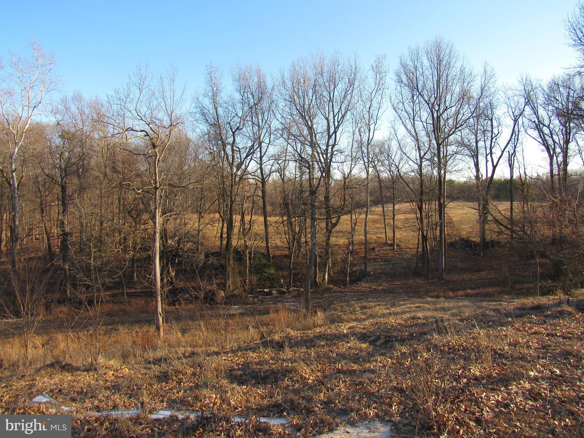 9500 Croom Road Upper Marlboro, MD 20772 - Photo 10 of 28