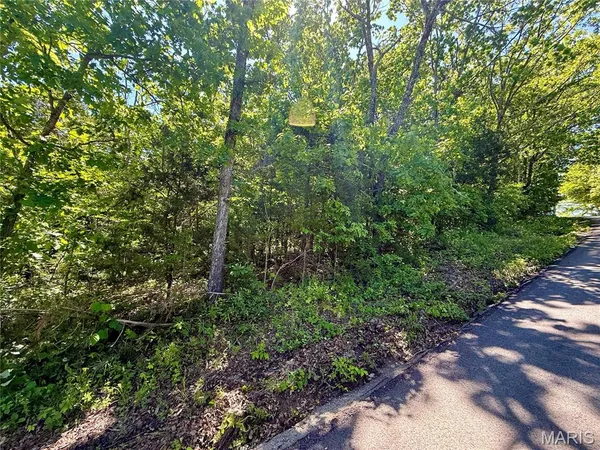 $25,000 | 0 Cyclone Road, Cadet, MO 63630