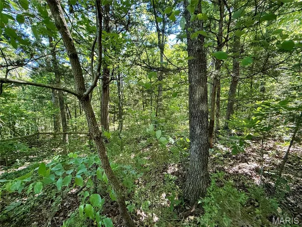 $25,000 | 0 Cyclone Road, Cadet, MO 63630