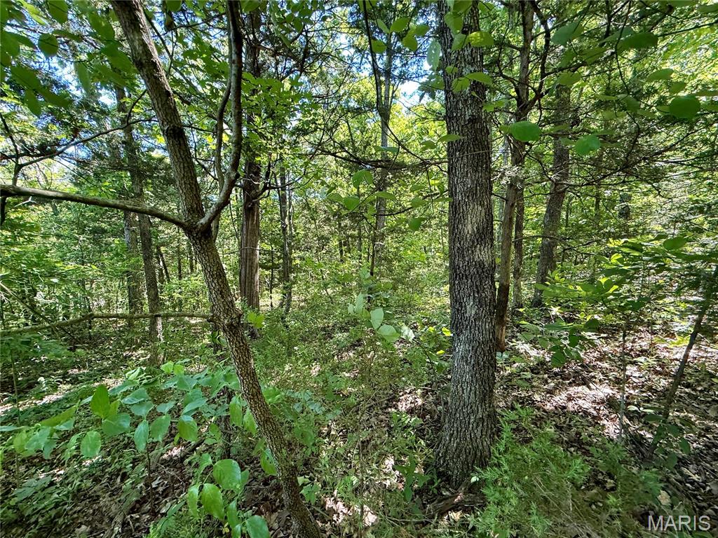 0 Cyclone Road Cadet, MO 63630 - Photo 4 of 6