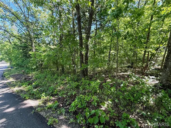 $25,000 | 0 Cyclone Road, Cadet, MO 63630