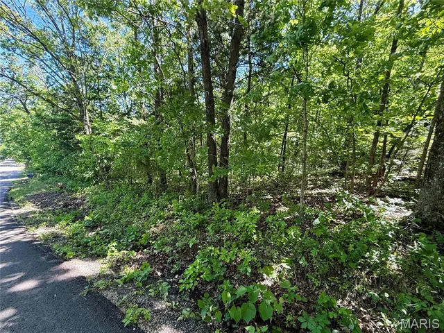 $25,000 | 0 Cyclone Road, Cadet, MO 63630