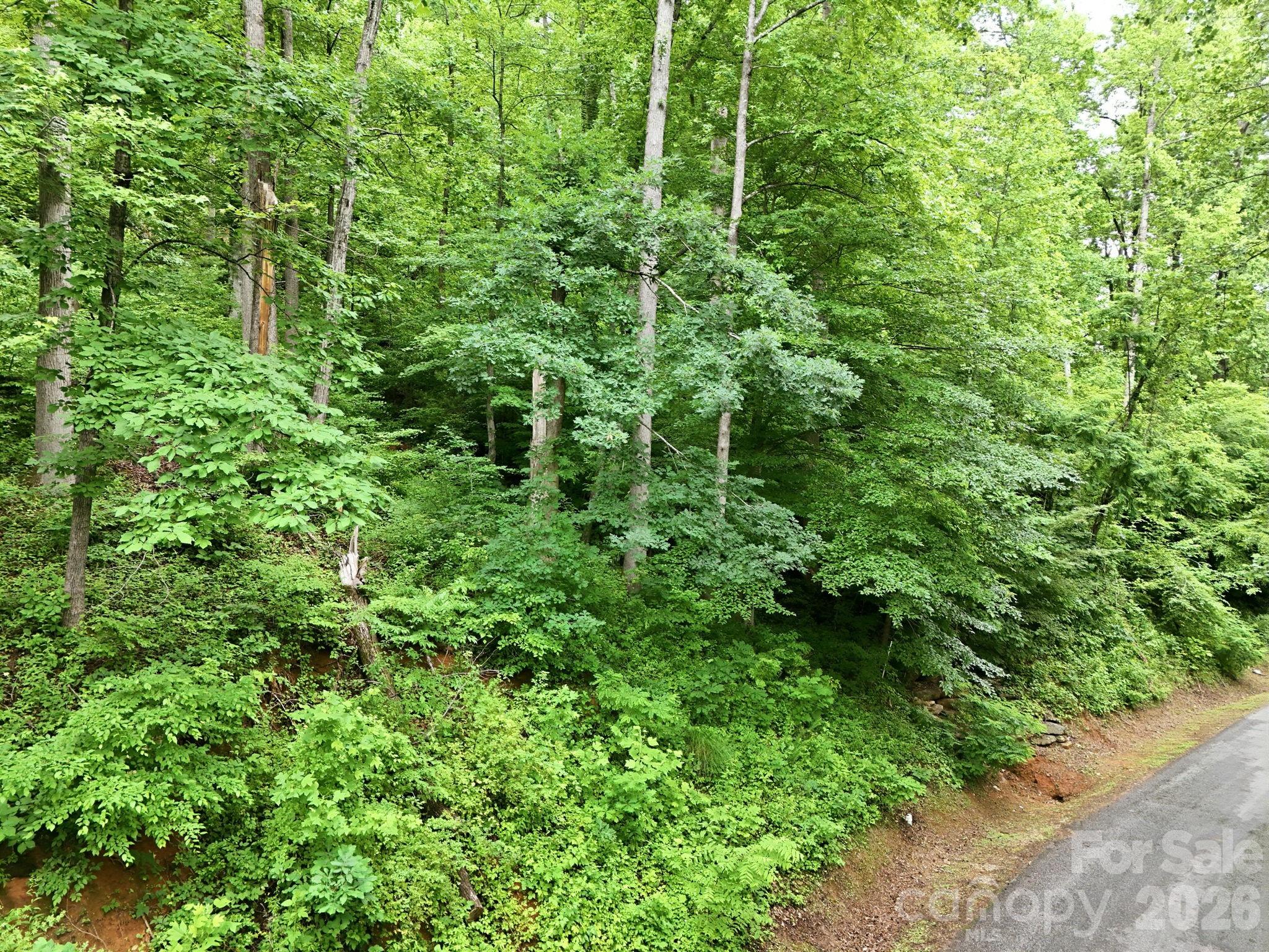 9999 Blue Ridge Drive South Marion, NC 28752 - Photo 7 of 17