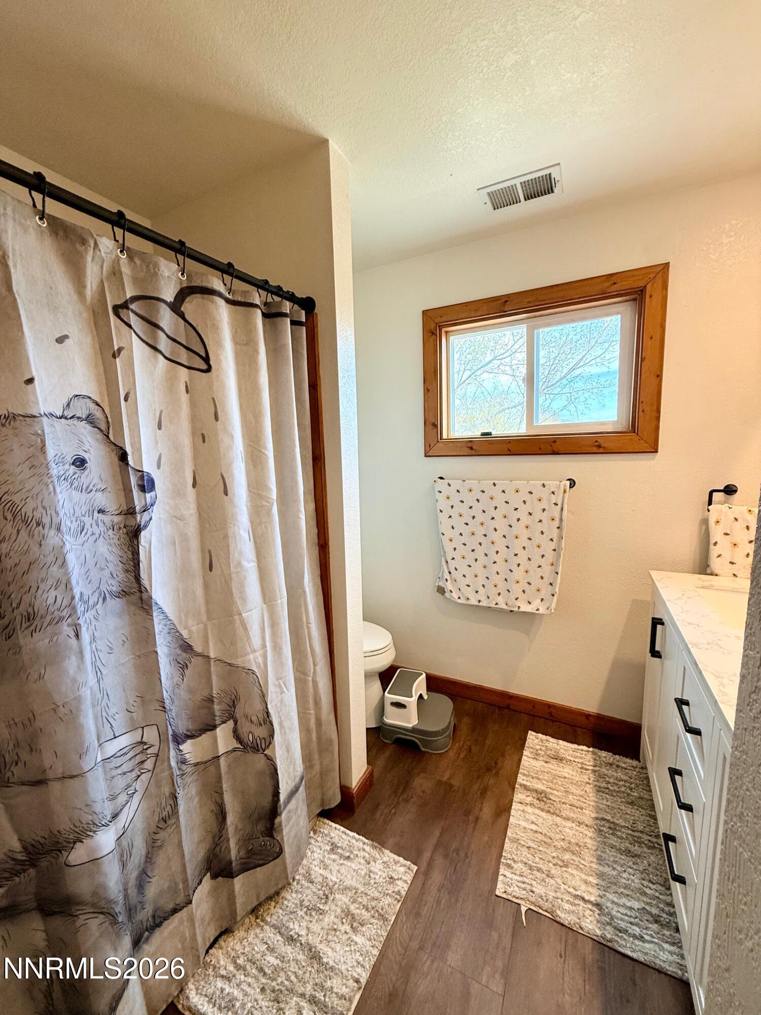 4734 Killdeer Road Carson City, NV 89701 - Photo 40 of 40 a bedroom with a rug and a window