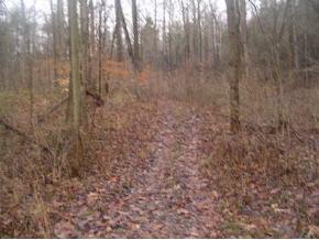 0 West Pocket Road Batesville, IN 47006 - Photo 3 of 5