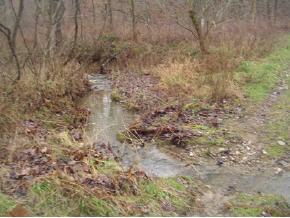 0 West Pocket Road Batesville, IN 47006 - Photo 4 of 5