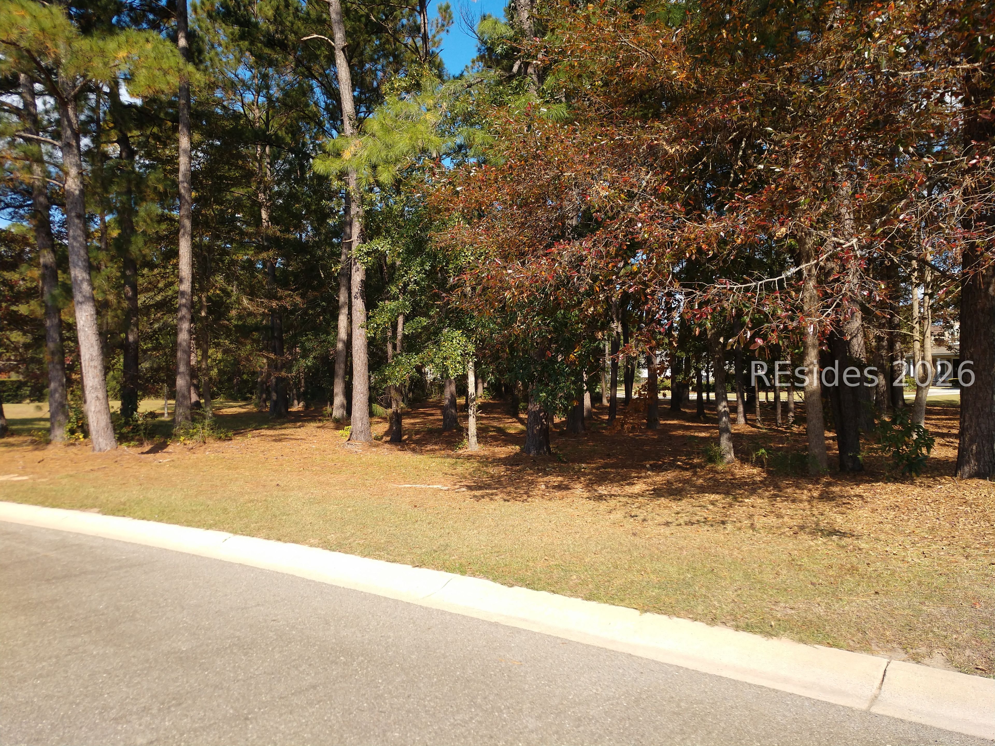102 Blessing Drive Bluffton, SC 29909 - Photo 1 of 28