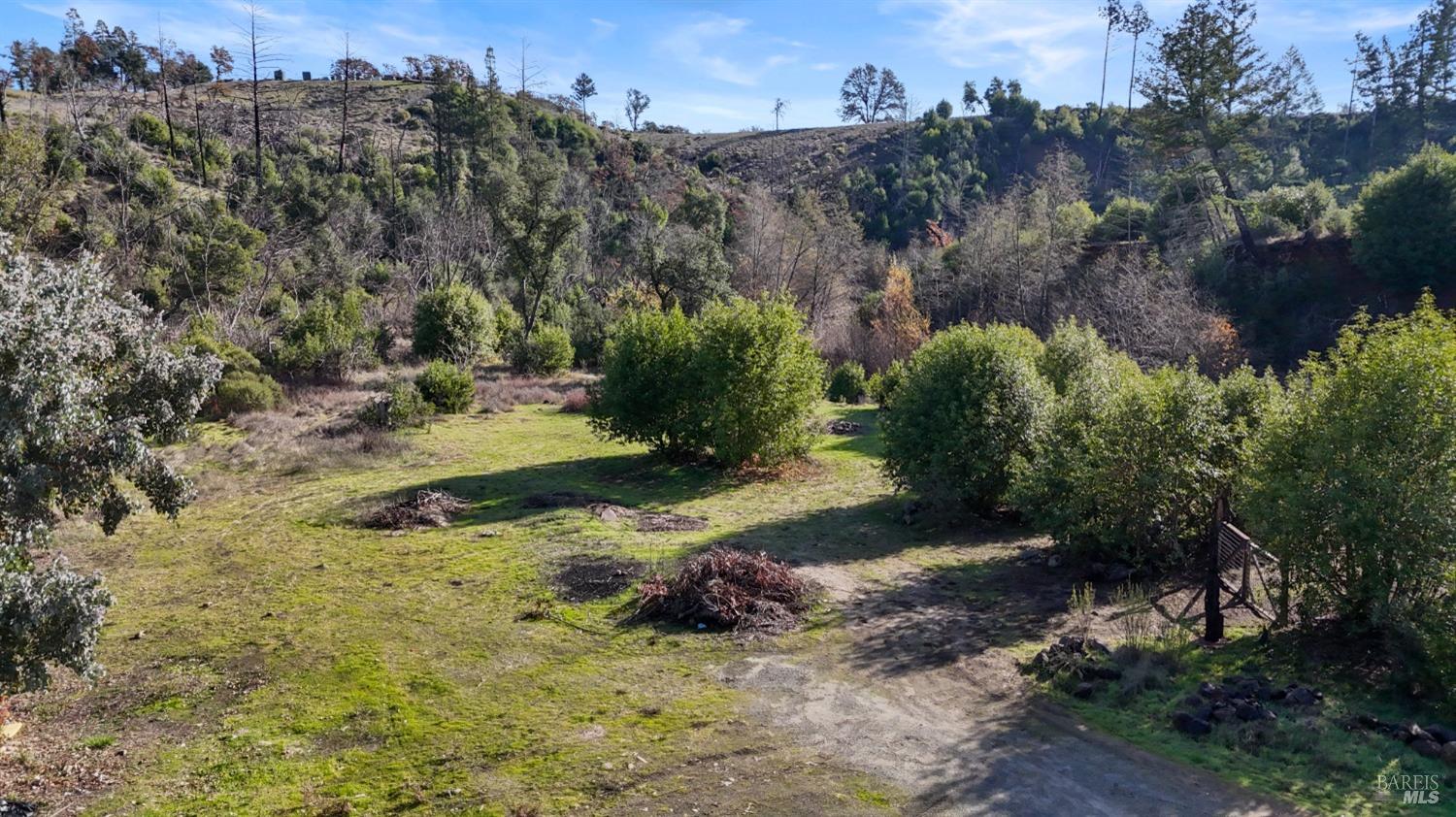 1214 Michele Way Santa Rosa, CA 95404 - Photo 4 of 18 a view of a large trees with green field