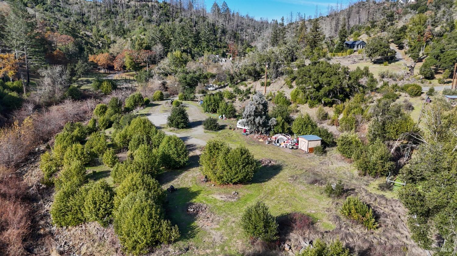 1214 Michele Way Santa Rosa, CA 95404 - Photo 6 of 18 a view of a forest with a tree