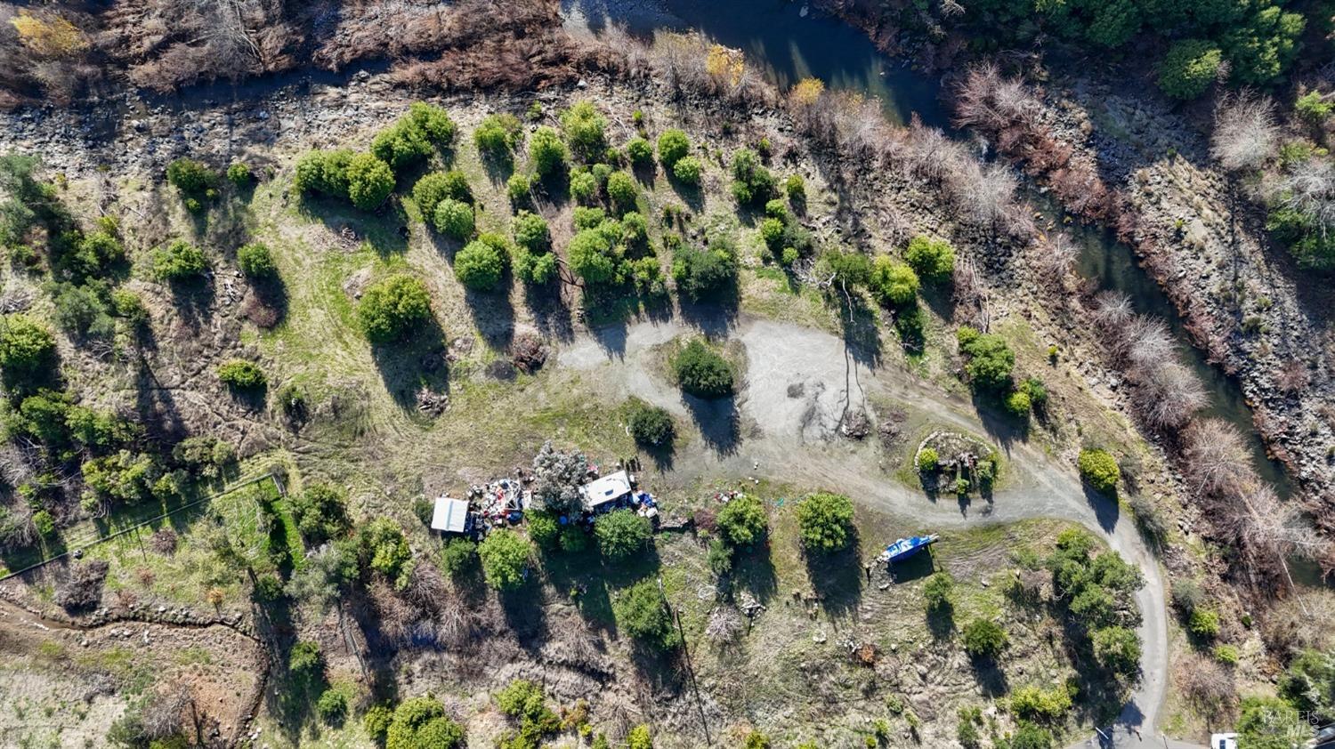 1214 Michele Way Santa Rosa, CA 95404 - Photo 7 of 18 a view of a tree with plants