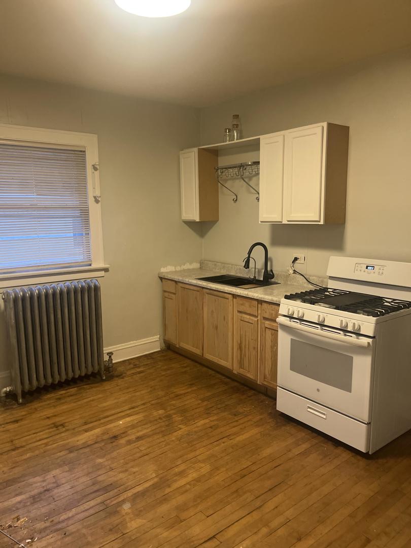 237 West 114th Street Chicago, IL 60628 - Photo 15 of 28