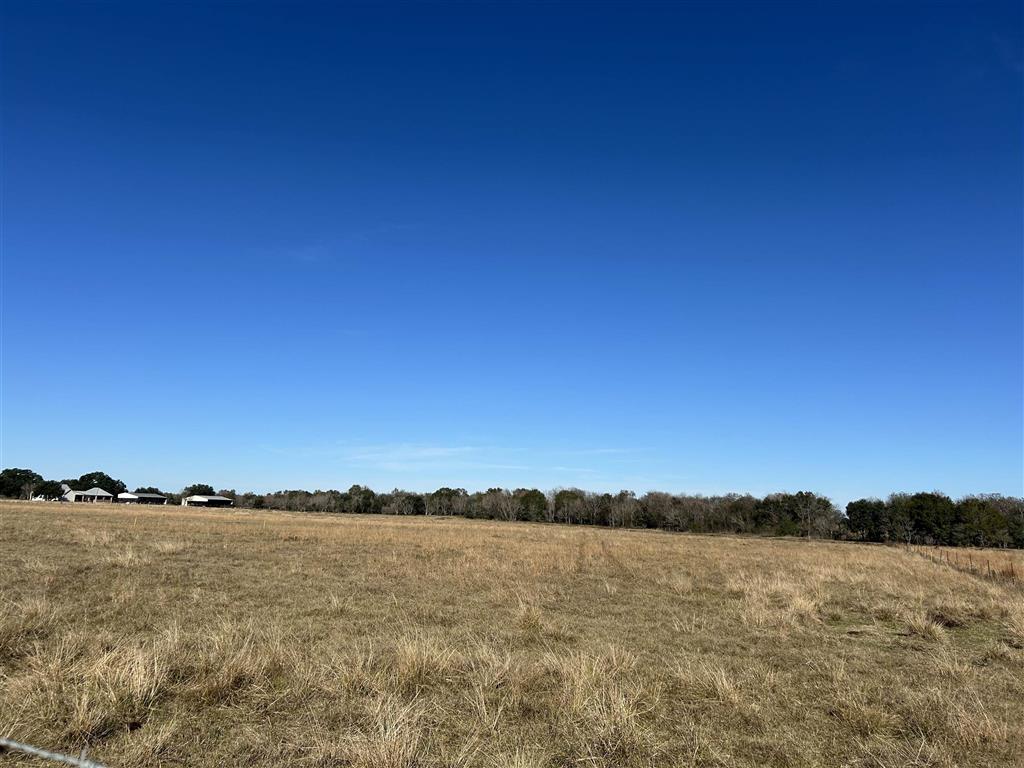 Tbd Koll Road Roanoke, LA 70581 - Photo 3 of 4 Gallery Image 3
