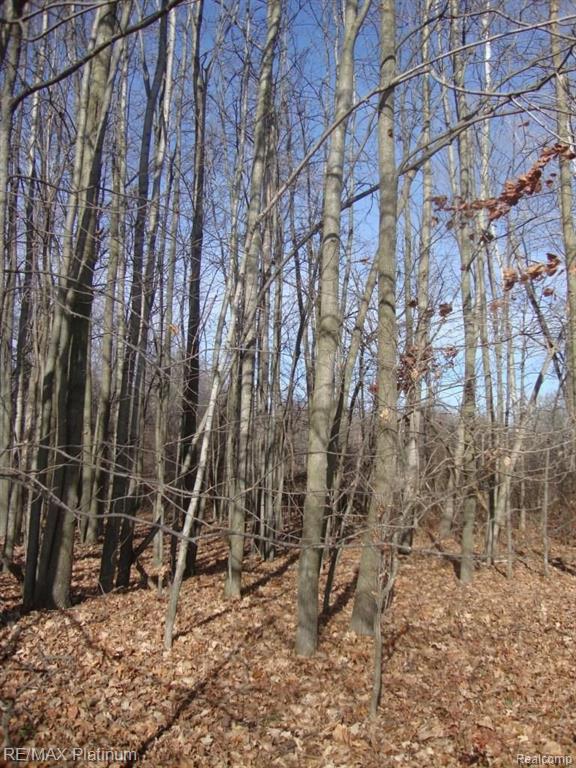 Vac West Iosco Road Fowlerville, MI 48836 - Photo 12 of 13