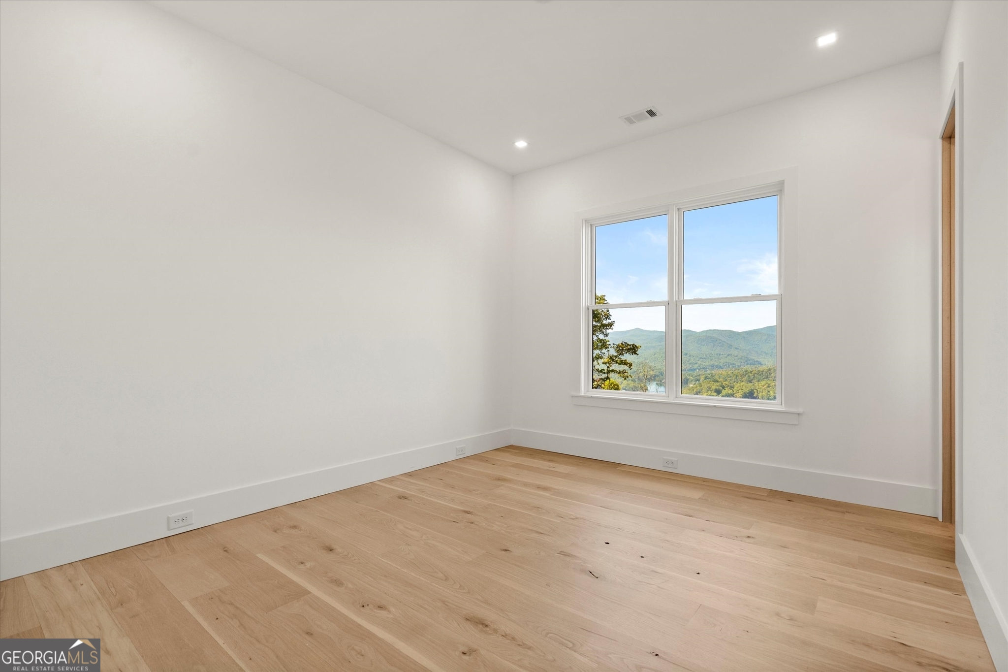 1572 Parker Holifield Road Tiger, GA 30576 - Photo 66 of 84 an empty room with windows