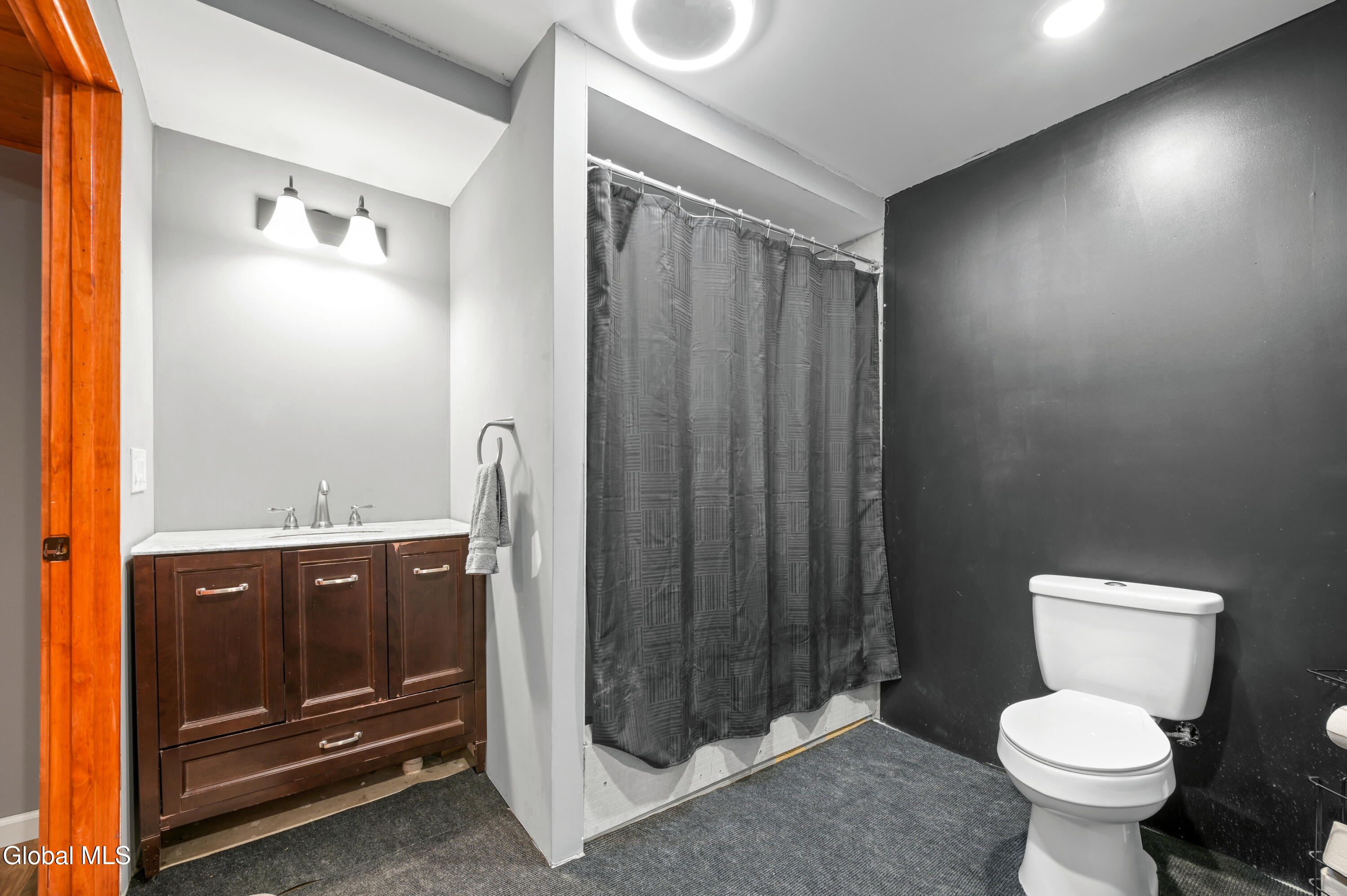 217 Meade Road Summit, NY 12036 - Photo 22 of 23 Camera 217 Meade Rd Charlotteville-58