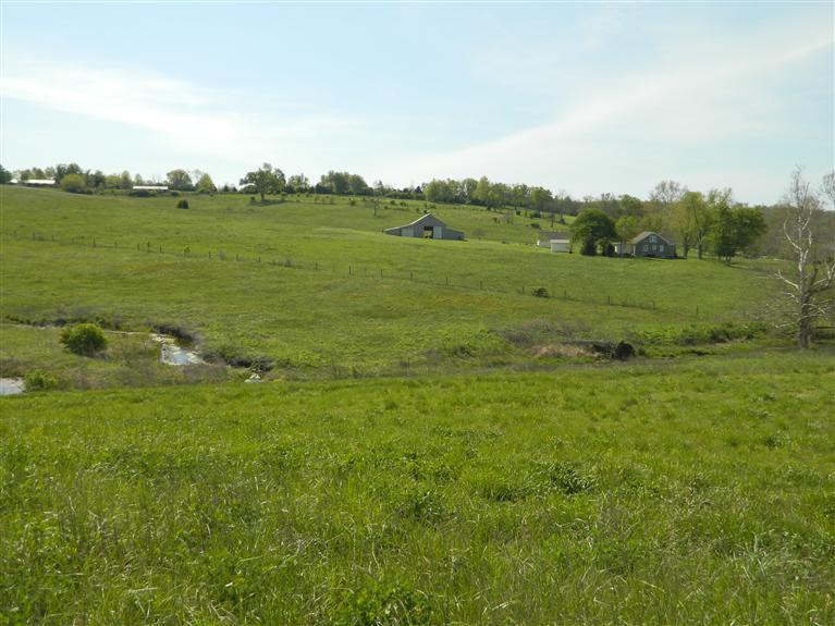 7960 Tates Creek Road Lexington, KY 40515 - Photo 4 of 11 Photo 4